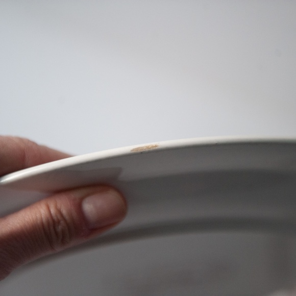 Set of 2 Vintage Lunastone Forest Flower Floral Stoneware 10 5/8" Dinner Plates - Picture 10 of 12